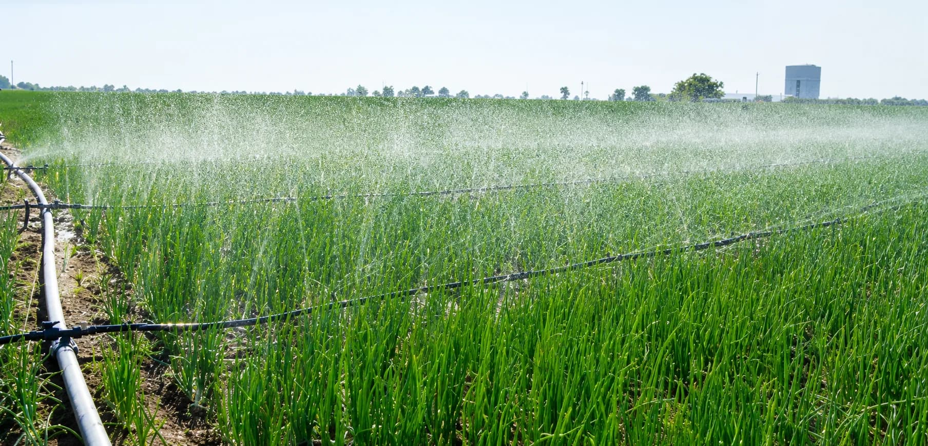 Rain pipe in field