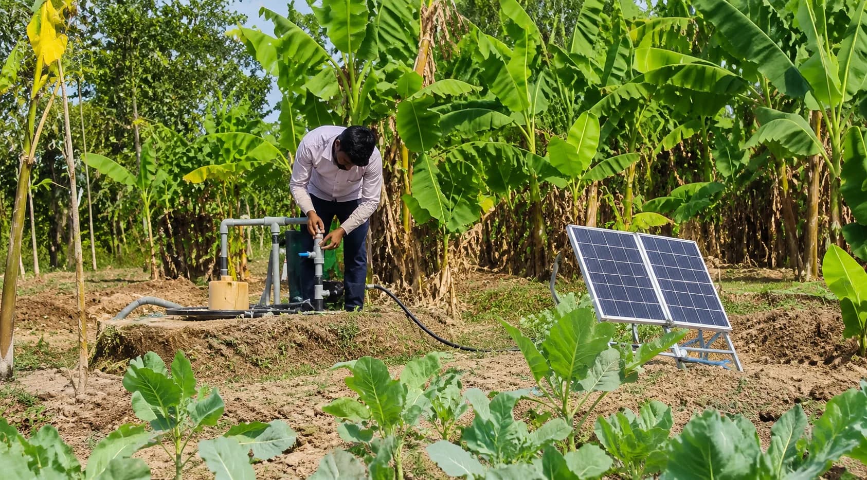 Driptech solar kit in use