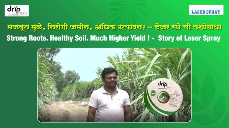 Rain Pipe for Sugarcane