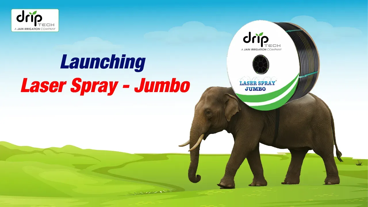Laser Spray Jumbo Rain Pipe / Rain Hose (Laser Spray) | Driptech