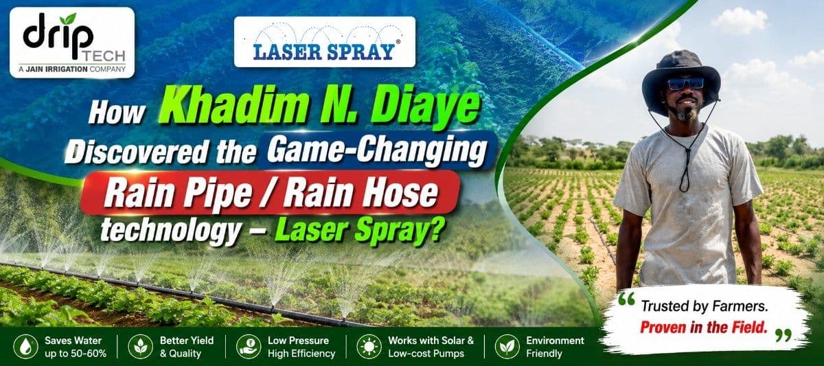 Khadim N. Diaye using Laser Spray Rain Pipe irrigation in Senegal